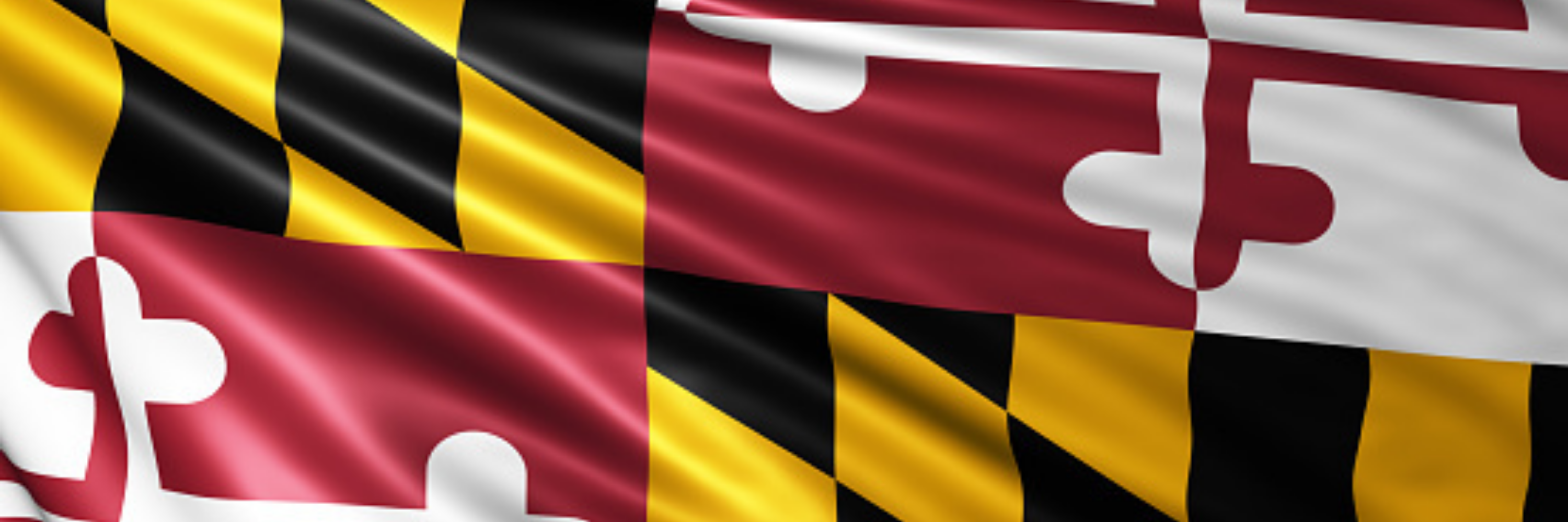 Maryland Brady List